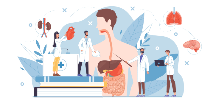 Что показывает МРТ брюшной полости
