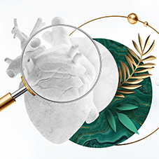 Cardio Check Up. Оценка состояния сердечно-сосудистой системы