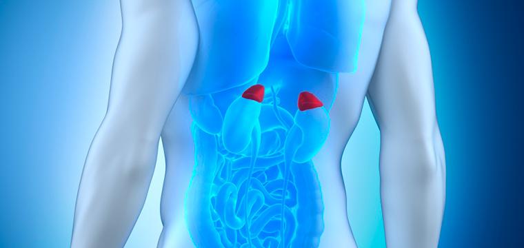 Заболевания надпочечников