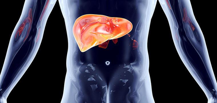 Цирроз печени: все, что нужно знать об опасном заболевании
