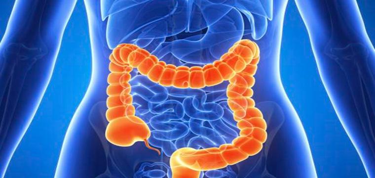 Доброкачественные новообразования прямой кишки