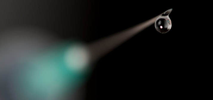 Опасное заблуждение