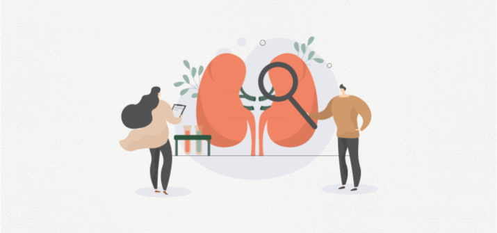 Проверьте здоровье почек за 8700₽