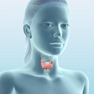 Гипотиреоз: симптомы и лечение