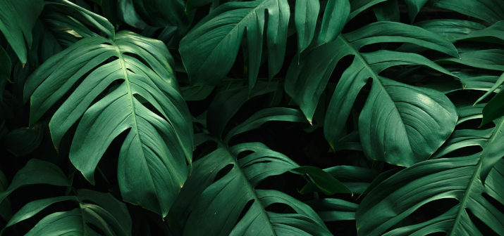 Перелом ребра