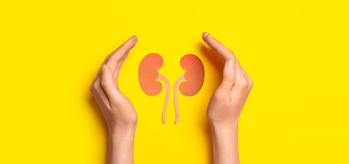 Хроническая болезнь почек: почему возникает и как жить с заболеванием