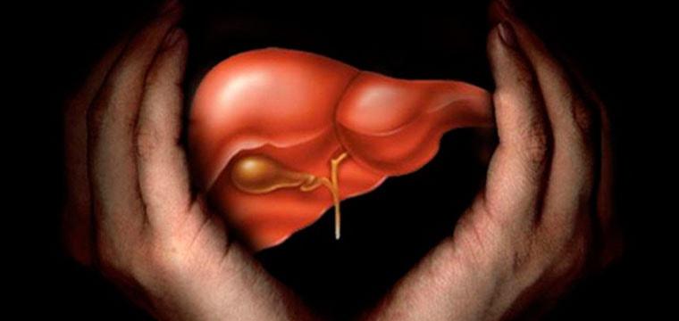 Отчет о работе гепатологического центра