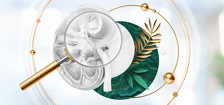 Nephro Check Up. Оценка состояния мочевыделительной системы (расширенный)