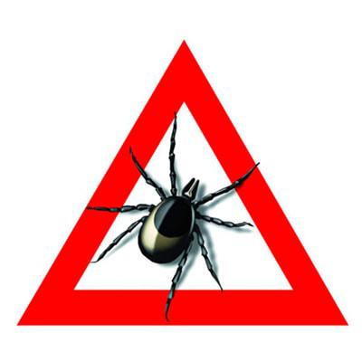 Профилактика клещевого энцефалита