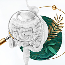 Gastro Check Up. Оценка состояния ЖКТ