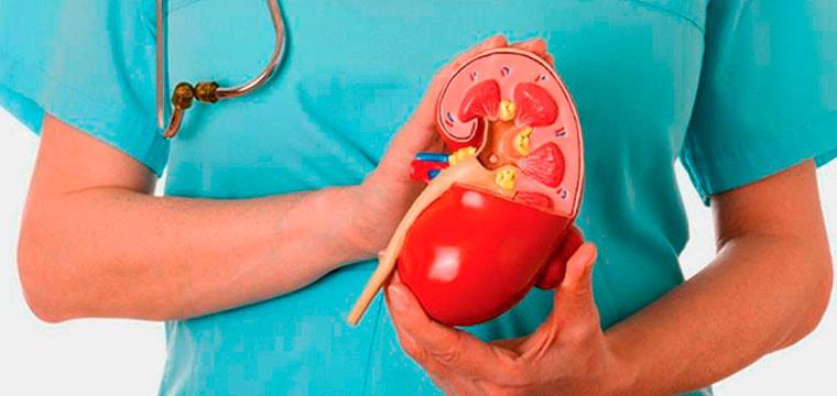 Вылечен пациент с коралловидным камнем и кистой почки