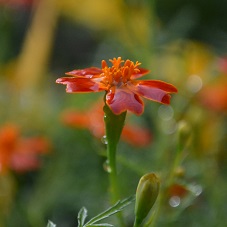 Переходим на летнее время