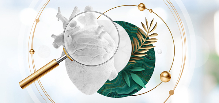 Cardio Check Up. Оценка состояния сердечно-сосудистой системы