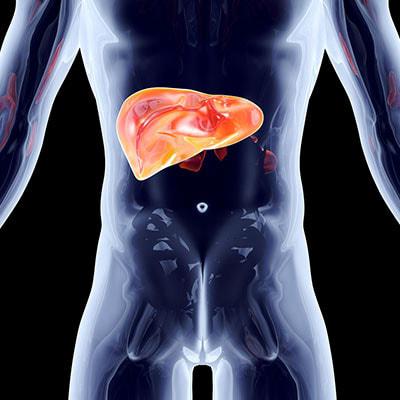 Цирроз печени: все, что нужно знать об опасном заболевании