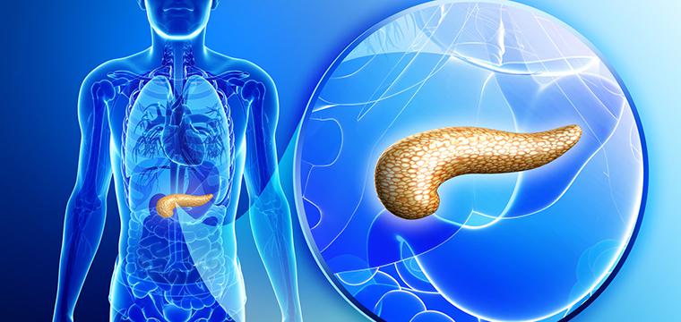 Заболевания поджелудочной железы: особенности болезней органа брюшной полости