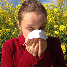 16 октября - День аллерголога