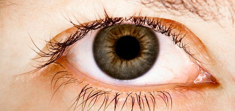 Ежегодный Конгресс Российского глаукомного общества 2010 года