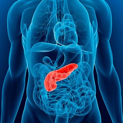 Недостаточность ферментов поджелудочной железы