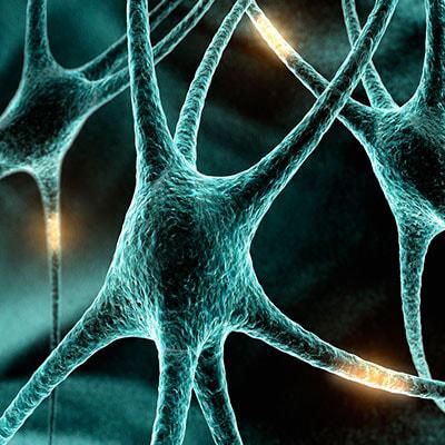 Диагностировать рассеянный склероз с помощью исследования сетчатки