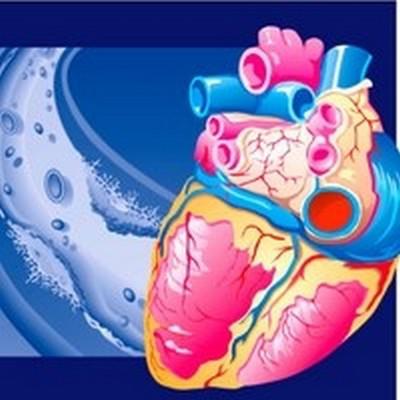 Сердечно-сосудистые заболевания: виды, факторы риска, лечение
