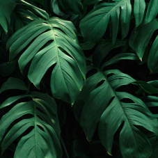 Перелом ребра