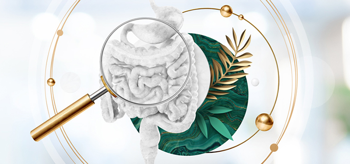 Gastro Check Up. Оценка состояния ЖКТ