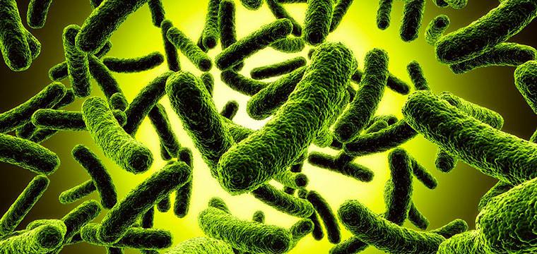 Дисбактериоз: обнаружить и победить!