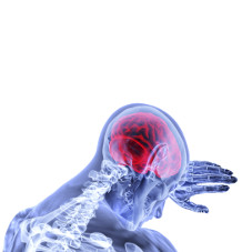 Генам вопреки