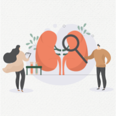 Проверьте здоровье почек за 8700₽