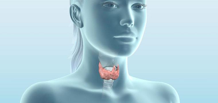 Гипотиреоз: симптомы и лечение