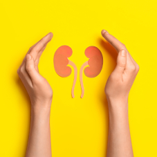 Хроническая болезнь почек: почему возникает и как жить с заболеванием