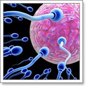 химические методы контрацепции