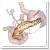 недостаток ферментов поджелудочной железы