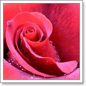 лабиопластика, лабиапластика