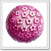 ВПЧ, вирус папилломы человека