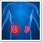 киста почки