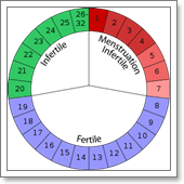 календарный метод