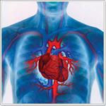 шум в сердце